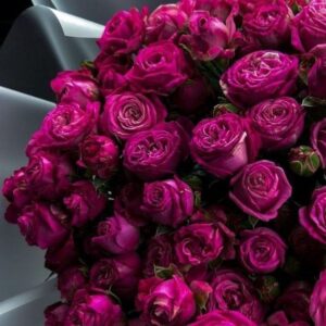 دانلود آهنگ وهار نایدن وهار نایدن دلمان پر له خوینه دانلود آهنگ وهار نایدن وهار نایدن دلمان پر له خوینه